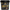 Eligator Nutrition Premium Series Hulk Mass Gainer